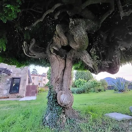 Gallo Luxury Colli Euganei
