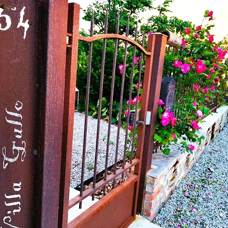 Gallo Luxury Colli Euganei *